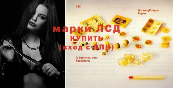 стаф Кулебаки