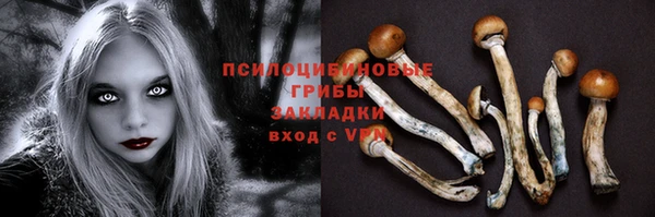 экстази Лихославль