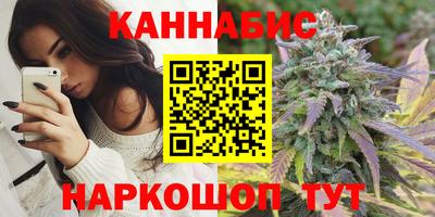 прущие крисы Гай