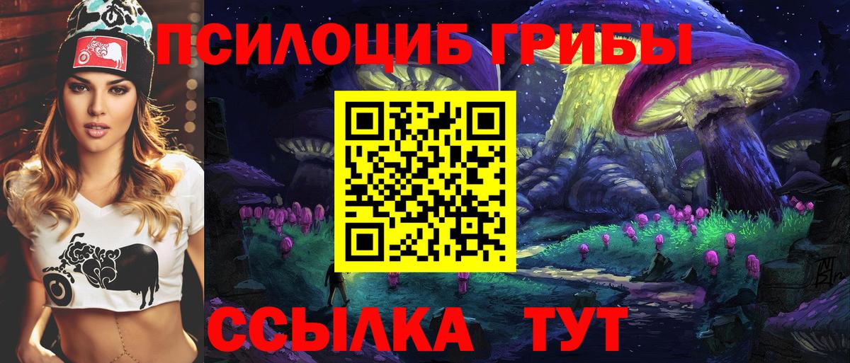 Псилоцибиновые грибы GOLDEN TEACHER Луга
